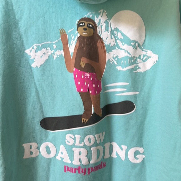 Party Pants Sloth Snowboarding Mint Hoodie - Picture 1 of 4